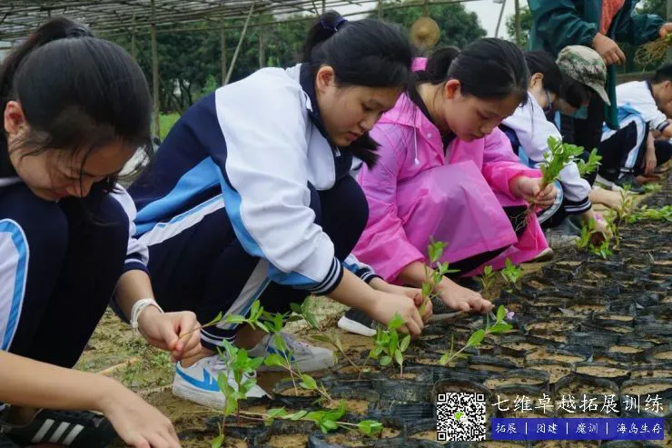 如何制定智能篮球训练计划_2